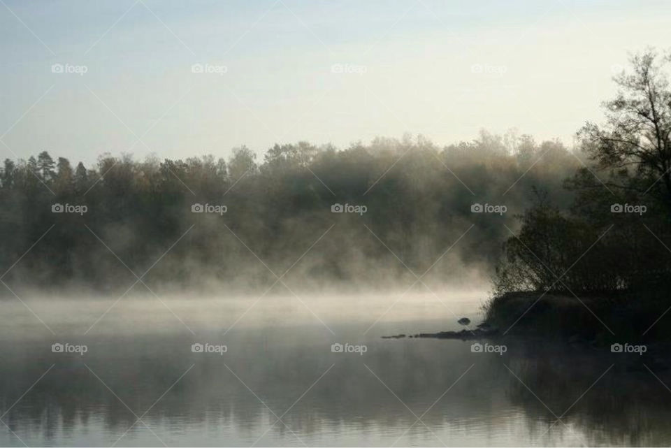 landscape ocean morning lake by paula