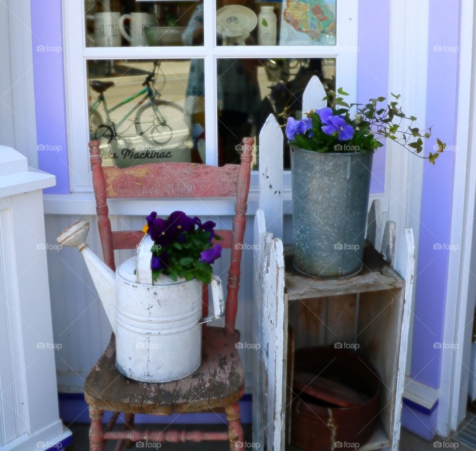 color.  Store front with watering cans filled with purple flowers.