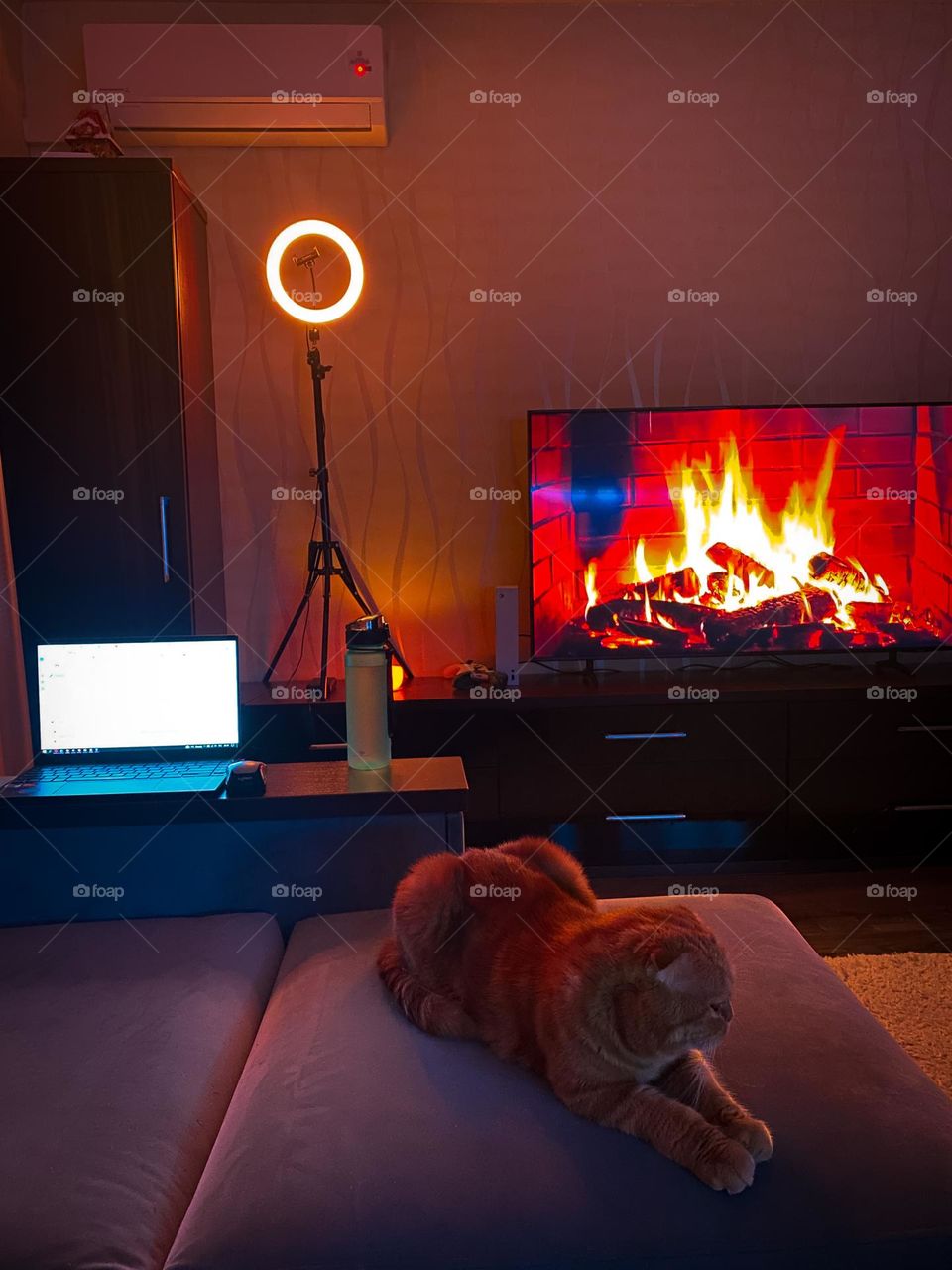 Join first mission. Cozy atmosphere 