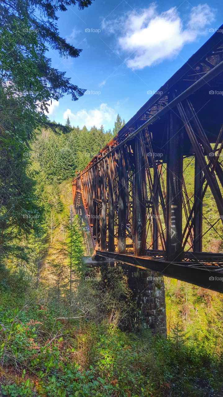 Railroad Bridge on Vancouver Island Canada