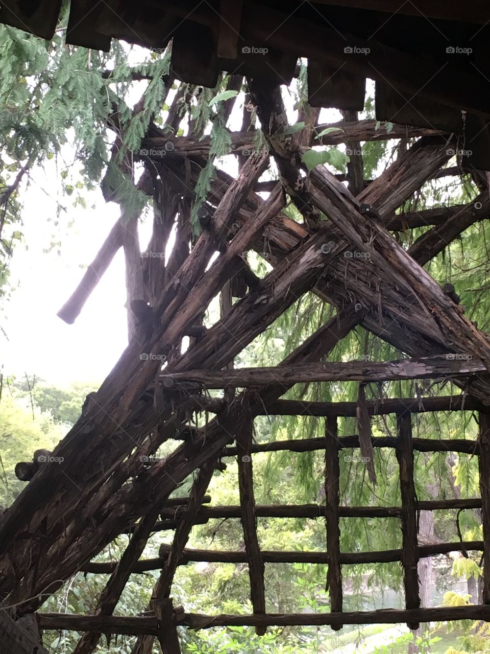 Outdoor nature wood structures 