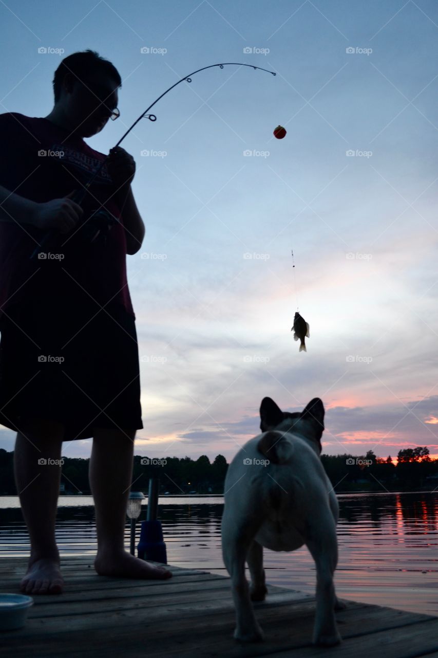 French Bulldog fishing 