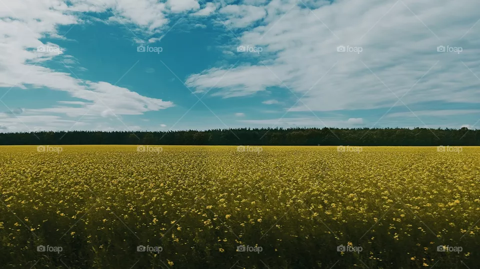 Heart on the Sky