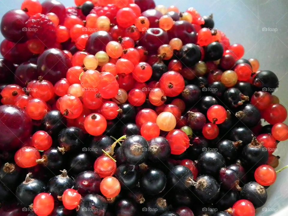 blueberries, currants etc