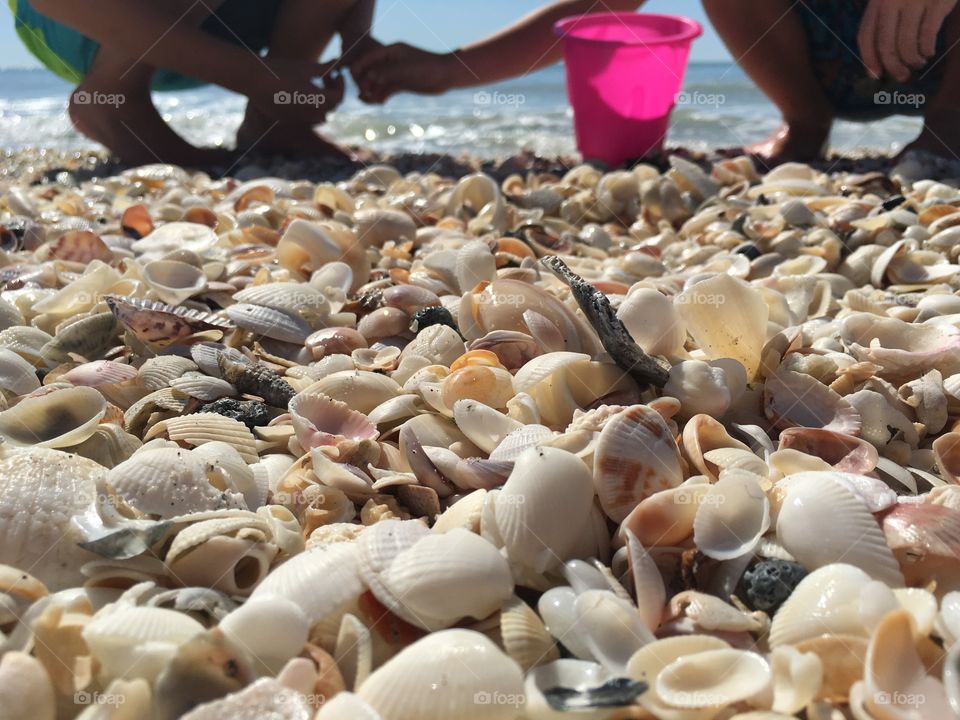 Playing in the Seashells