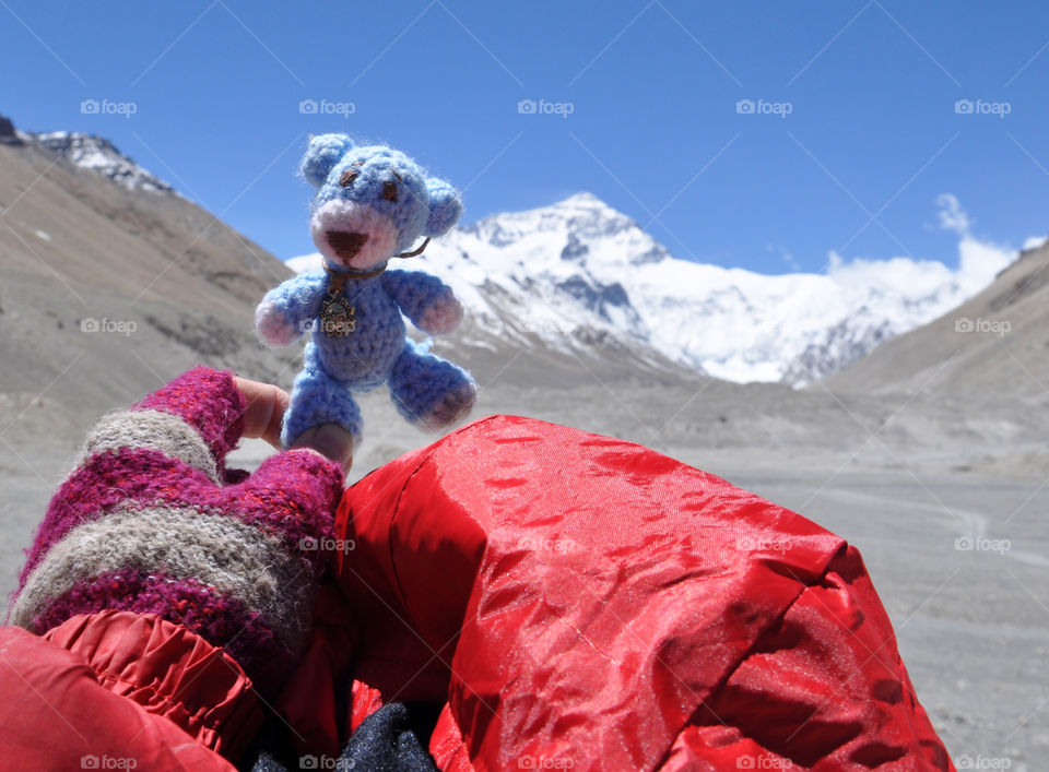 Blue bear at Everest 