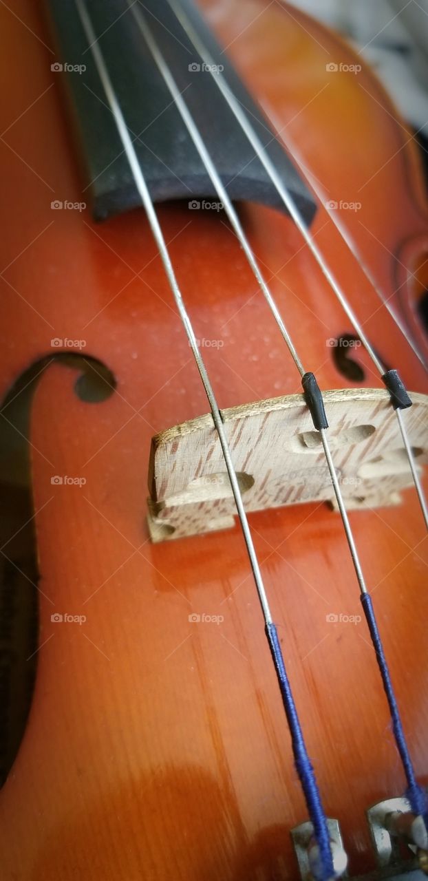 Violin Close Up