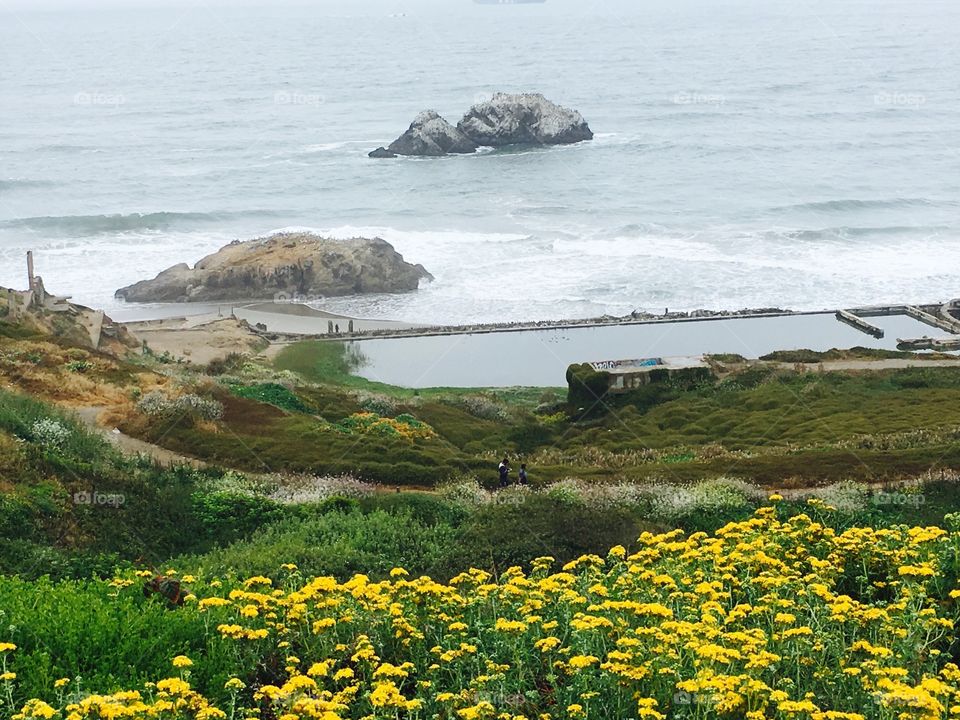 SAN Francisco Beach 