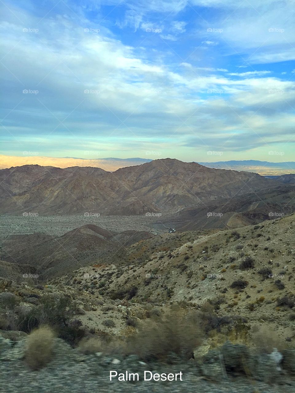 Palm Desert