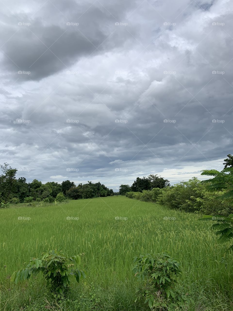 The stories of the nature, Countryside (Thailand)