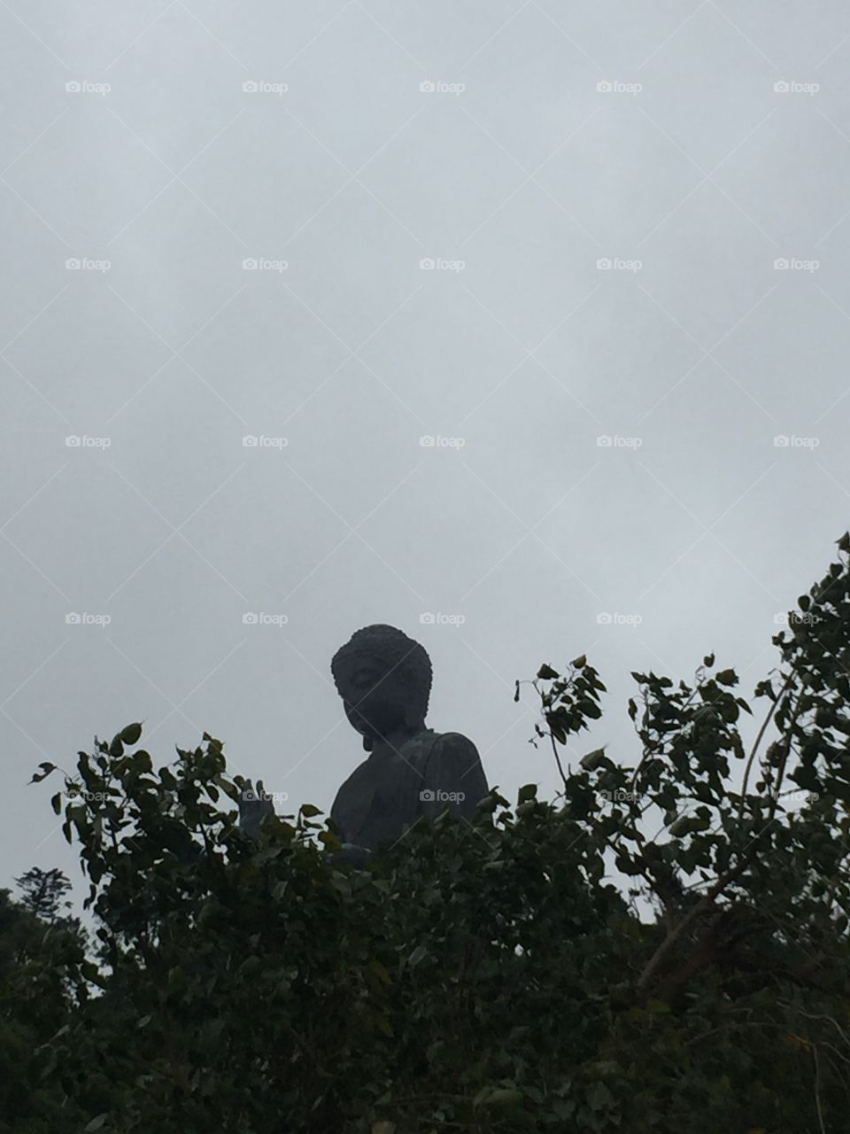 Ngong Ping Village, Lantau Island, Hong Kong. Buddha in Harmony with Nature and the World. 