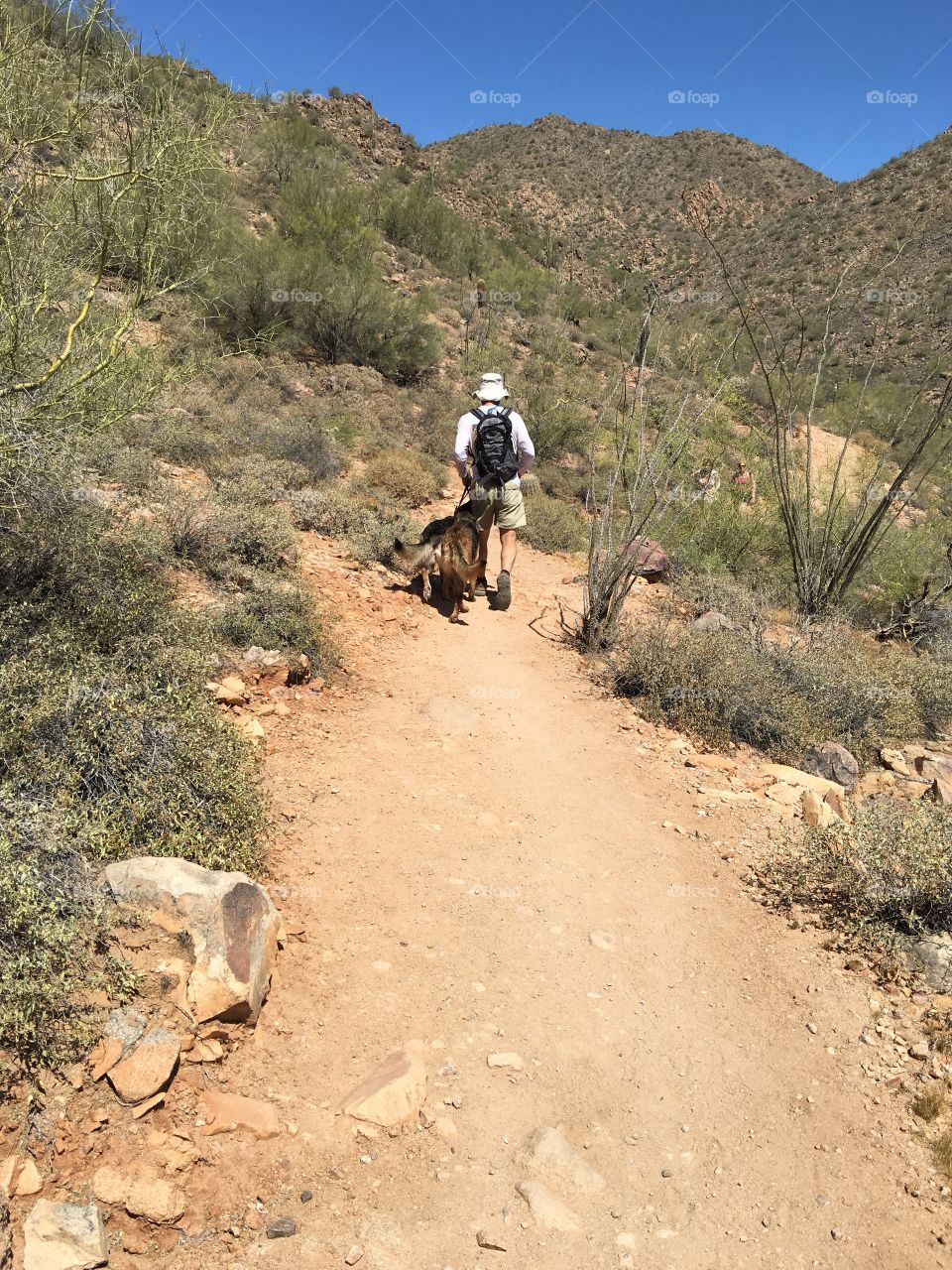 Hiking with two dogs.