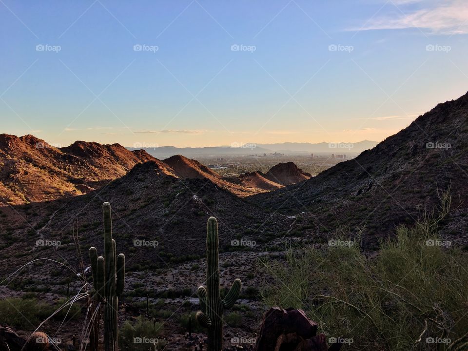 This photo features a small valley in Phoenix, AZ with cacti in the foreground and a mountain range in the background.