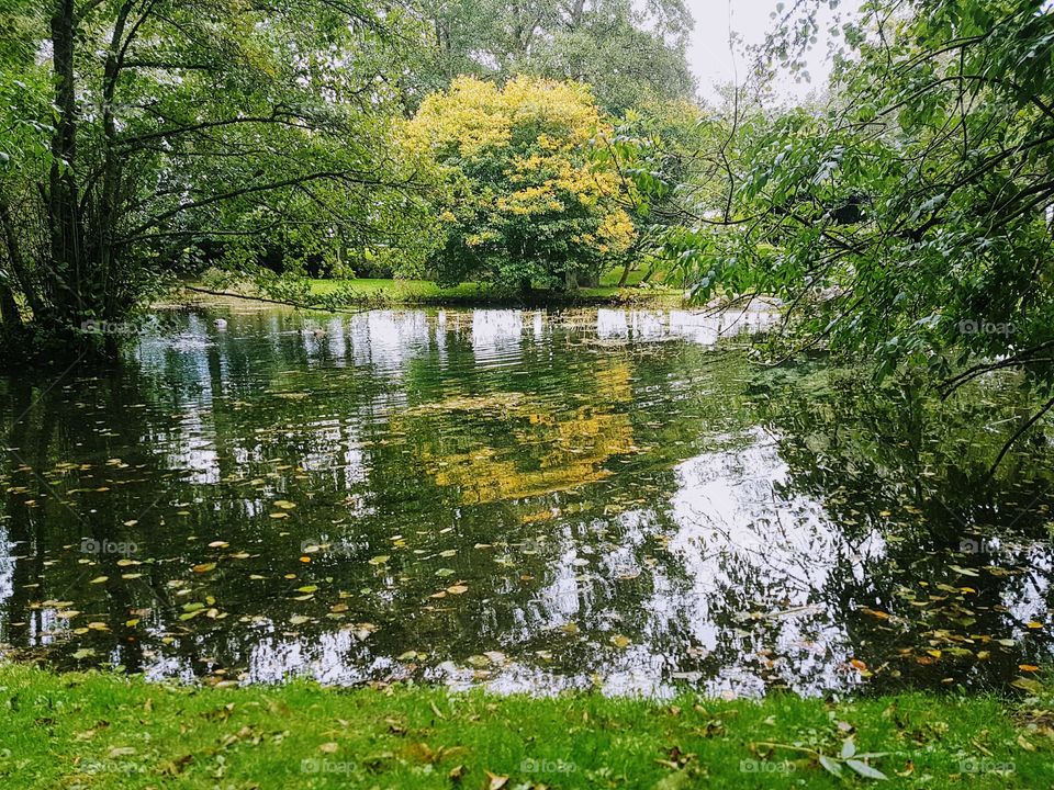 garden in ireland