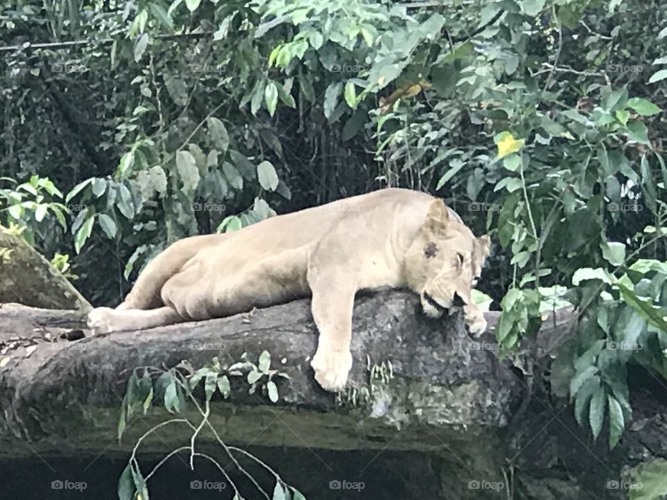 Sleeping on the edge