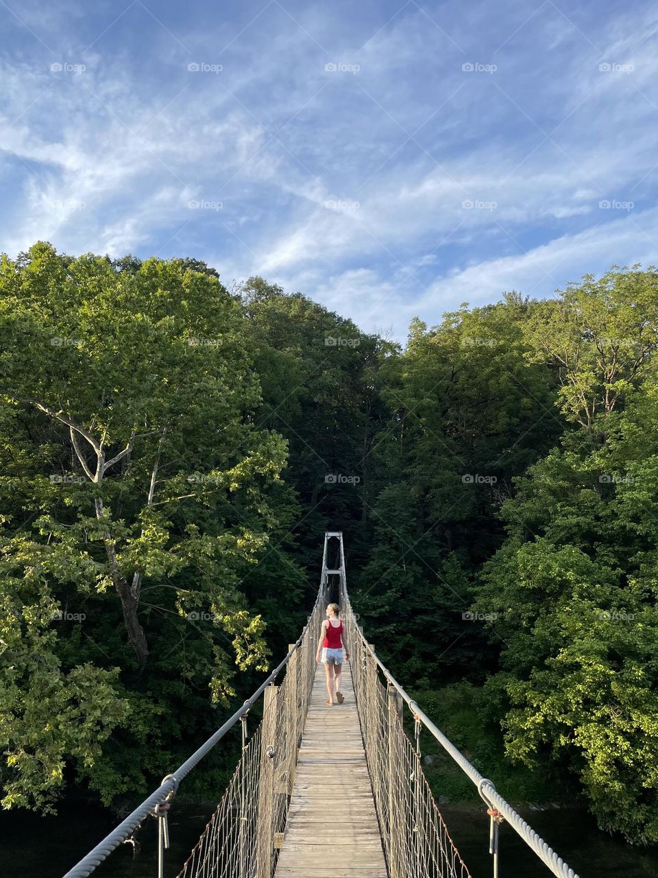 Swinging bridge, Shenandoah county Virginia 