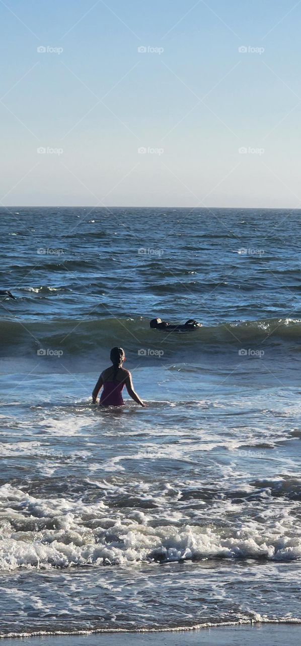 swimming with an otter