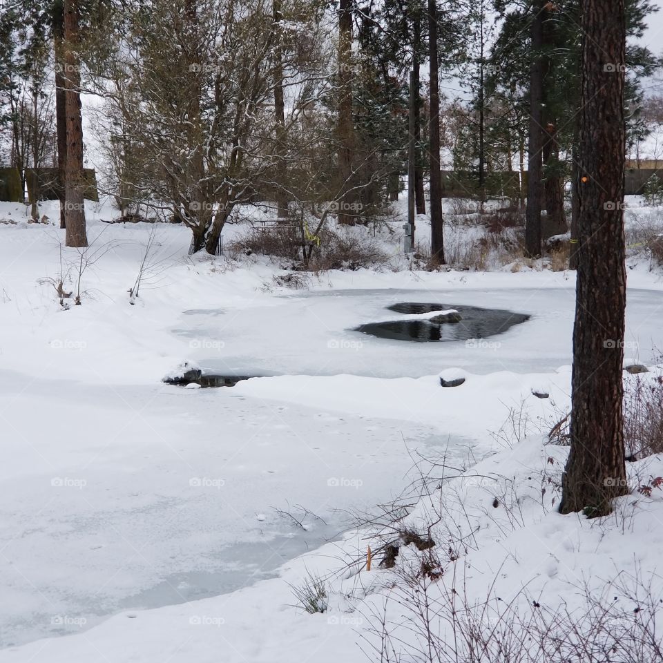 frozen pond with a heart shaped opening in a park on a winter day