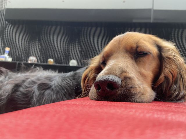 Sleepy 2.0