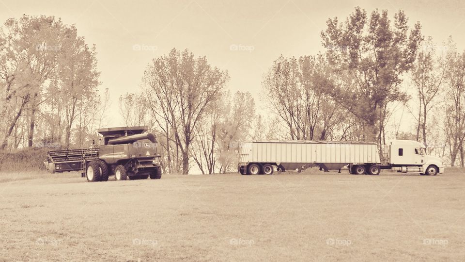 Vehicle, Transportation System, Farm, Truck, Tree