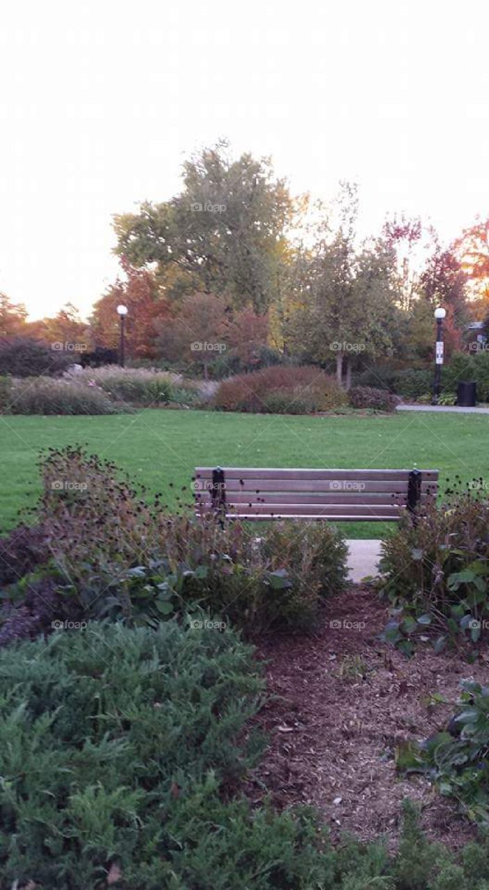 Peaceful park in the city. lots to do there