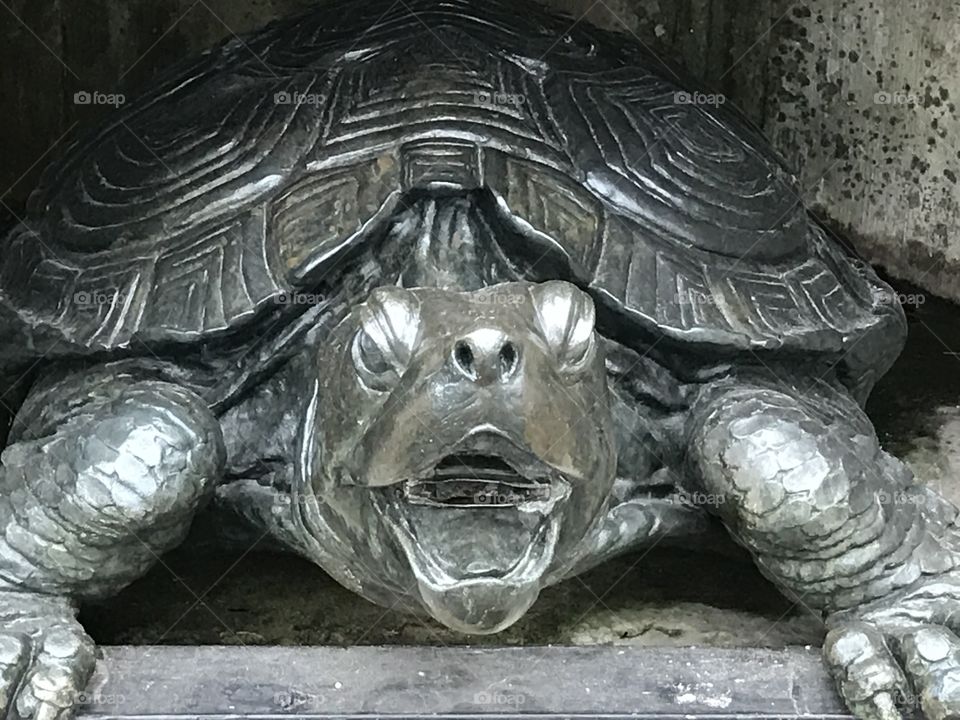 Stick your neck out!