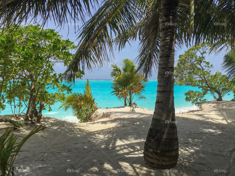 Maldivs vacations 