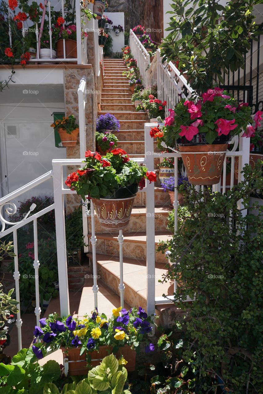 Staircase adorned with potted plants in the town of Mijas Pueblo 🌺