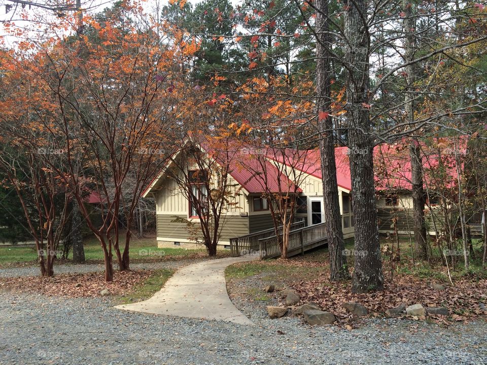Cabin in the fall woods