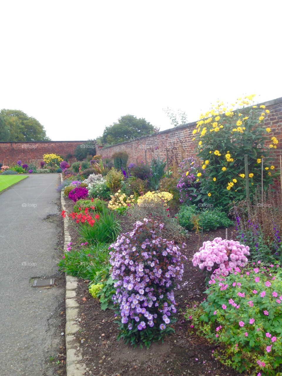  Garden border