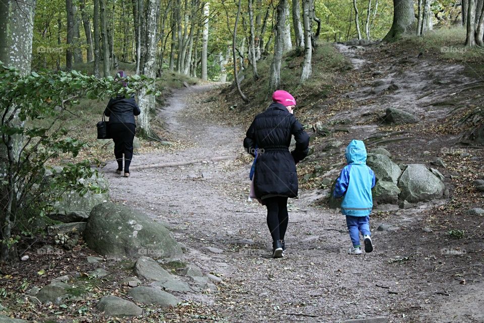 Beautiful day in wood.