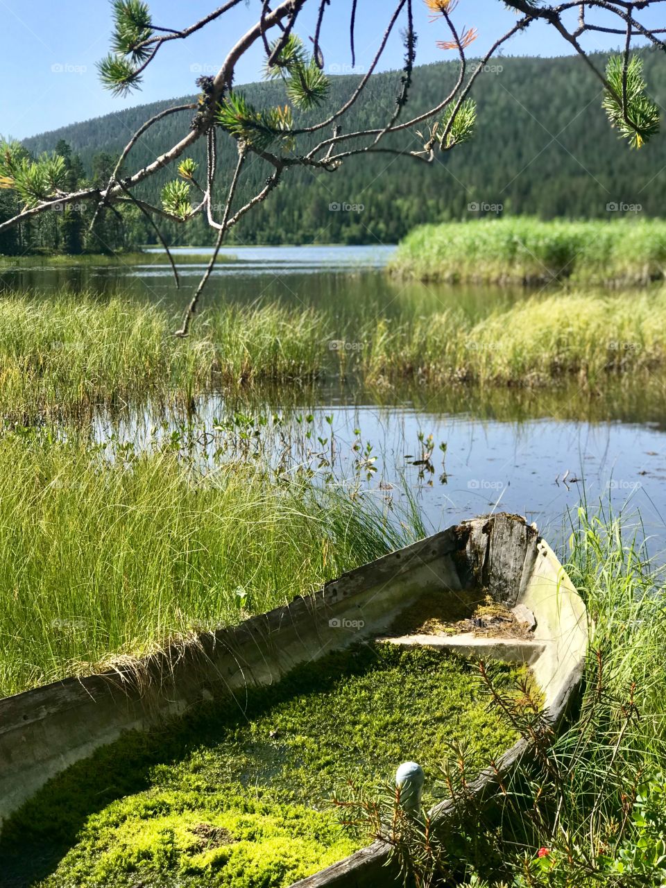 Old rowing boat