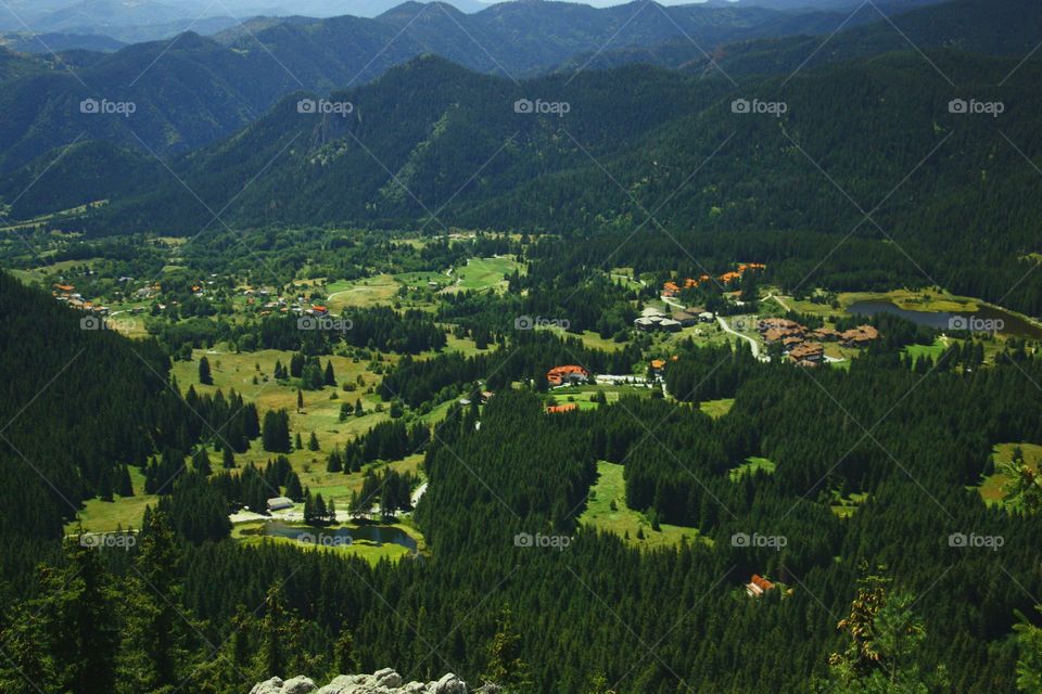 Bulgarian Paradise