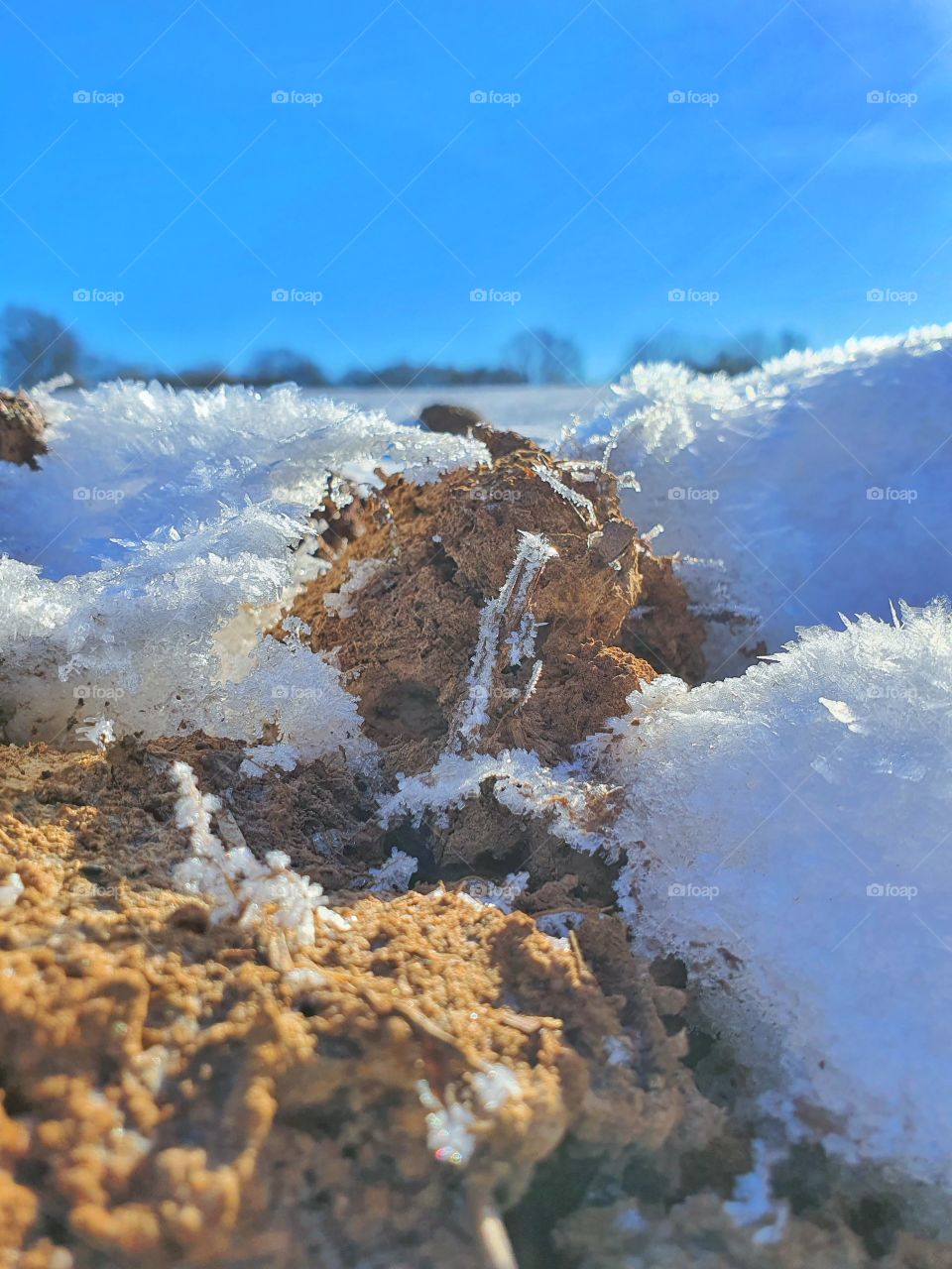 Ice and Snow impressions