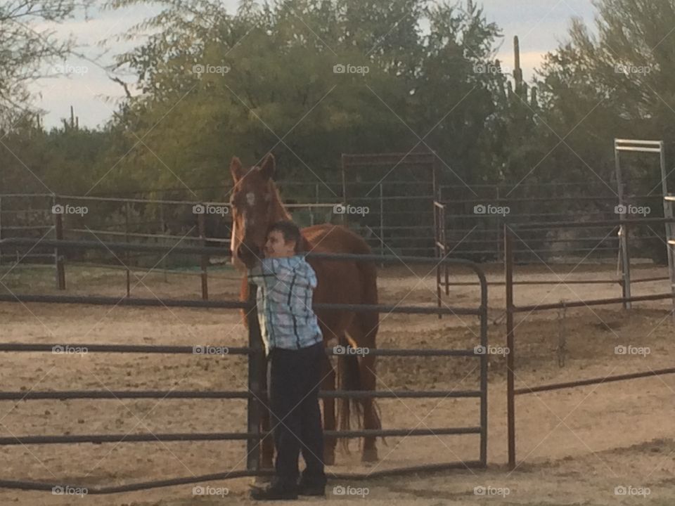 Small boy standing with horse