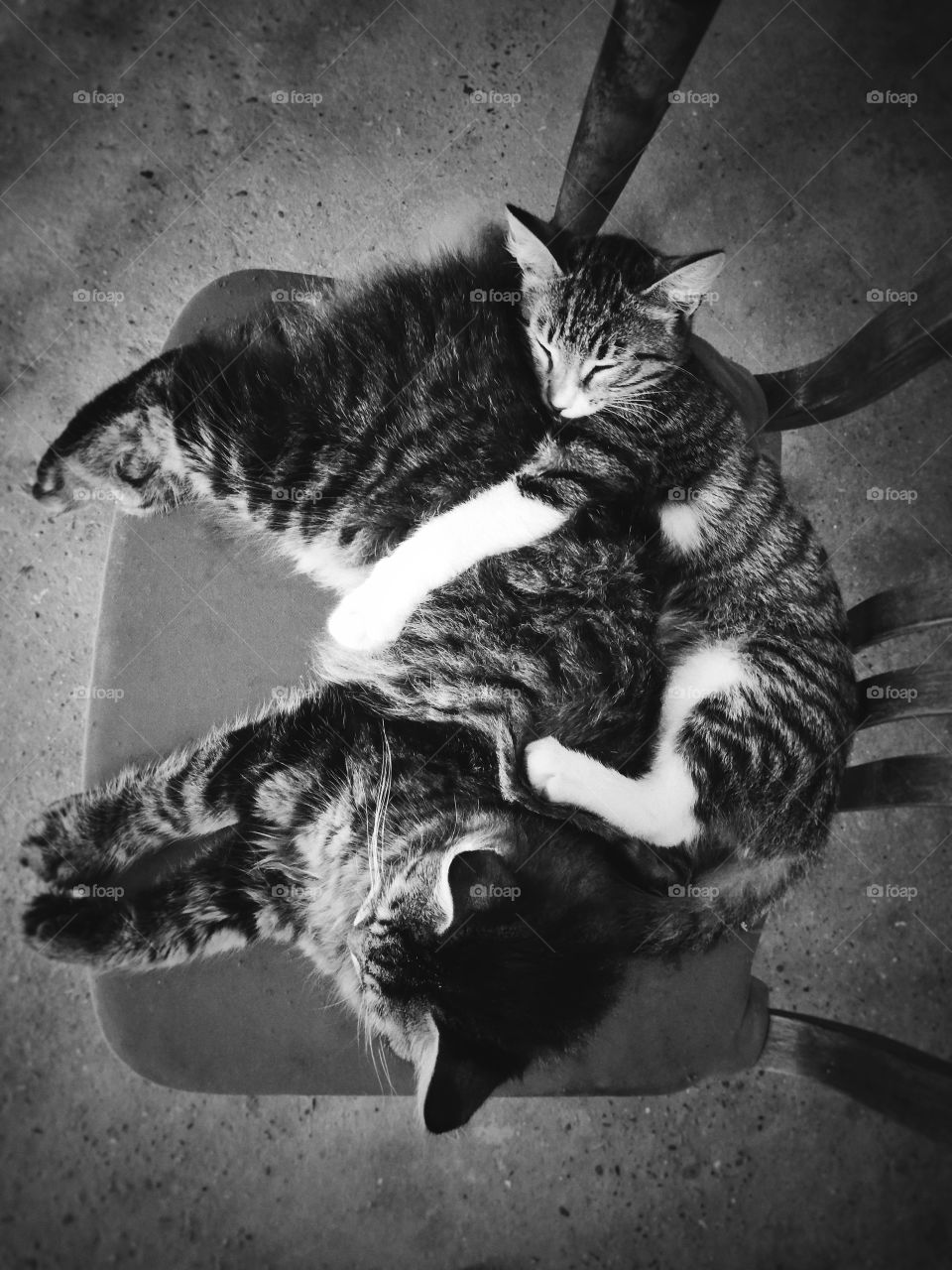 Everybody need a hug