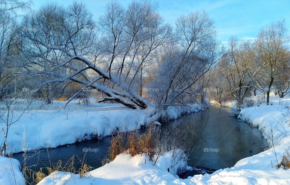 The magical charm of winter