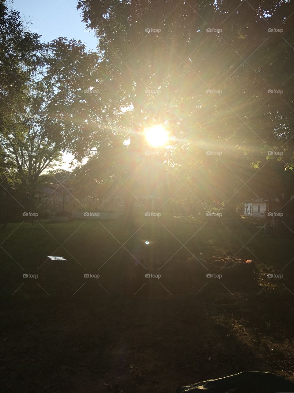 Drinking my coffee sitting in my back yard and being blinded by the wonderful sun!