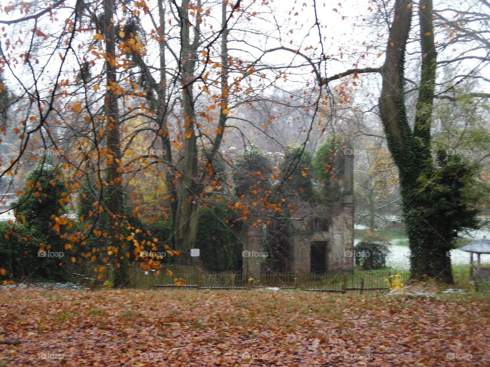 Parc de Mariemont , la Louvière