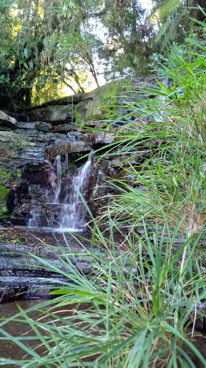 RIVER NATURE ENVIRONMENTAL