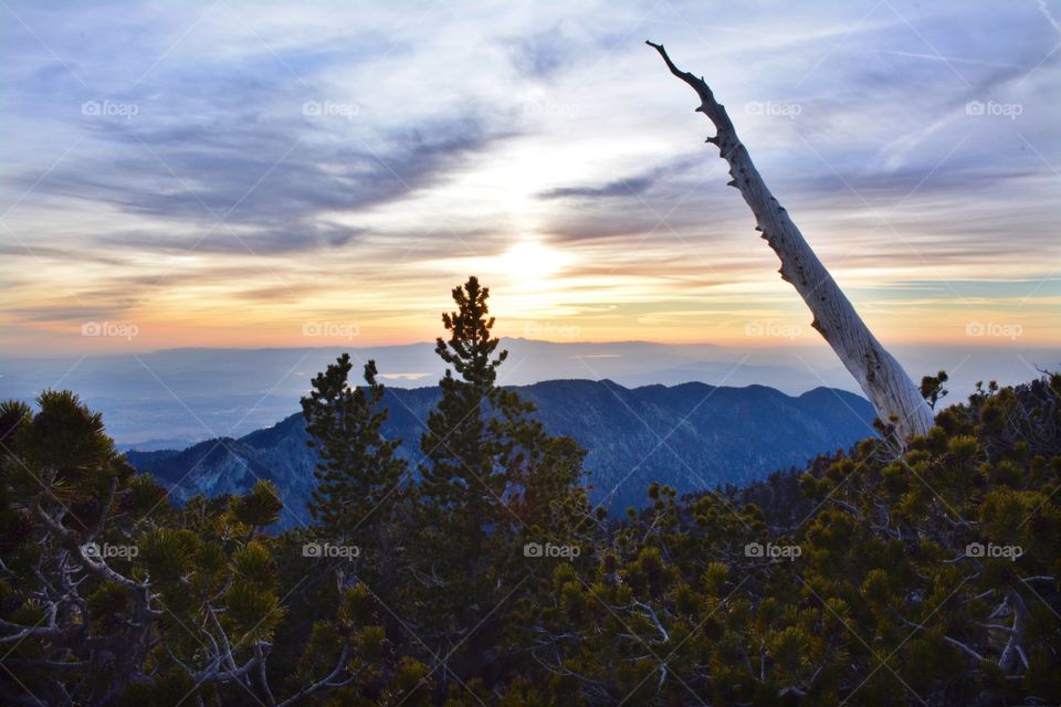 A View From Mt. San Gorgonio