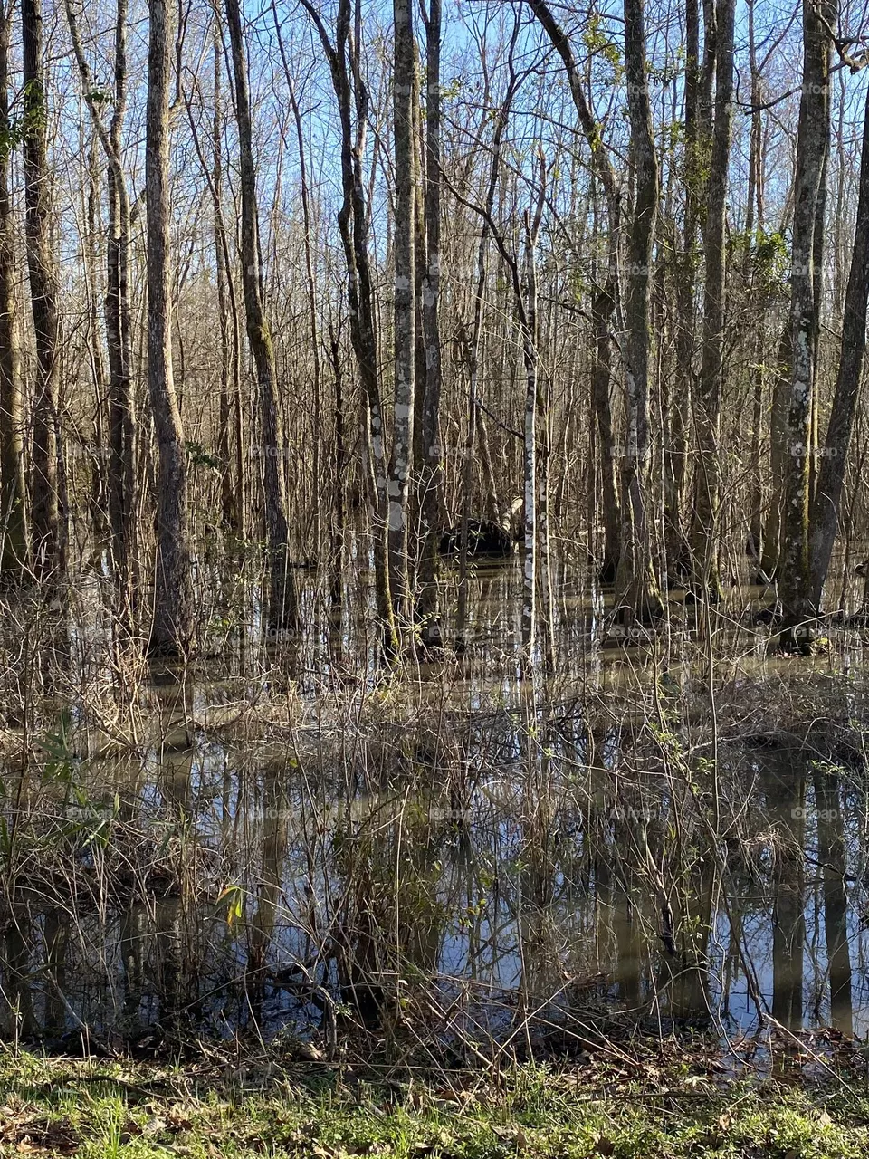 After the rain 