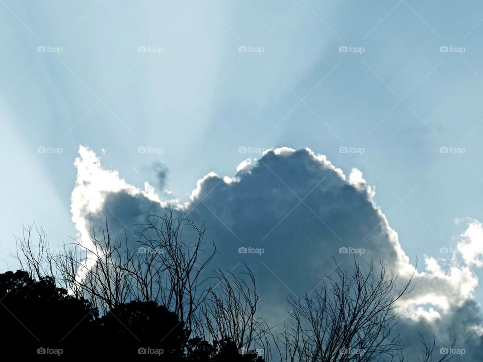 Clouds in the Sky way up High