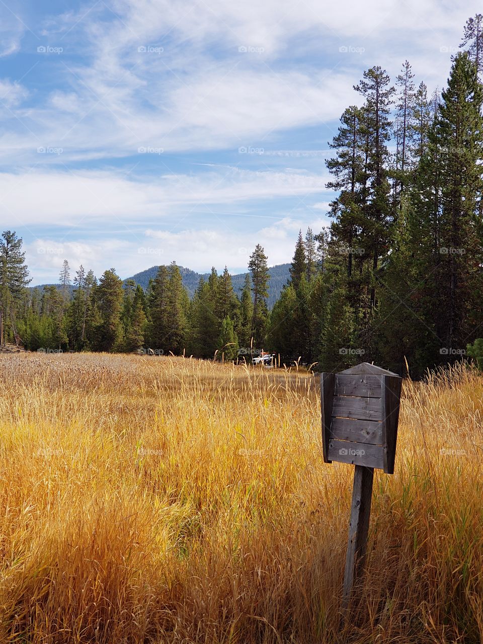 An old weathered wooden sign standing amongst the reeds on the shores of Lava Lake high in the forests of Oregon on a sunny fall day. 