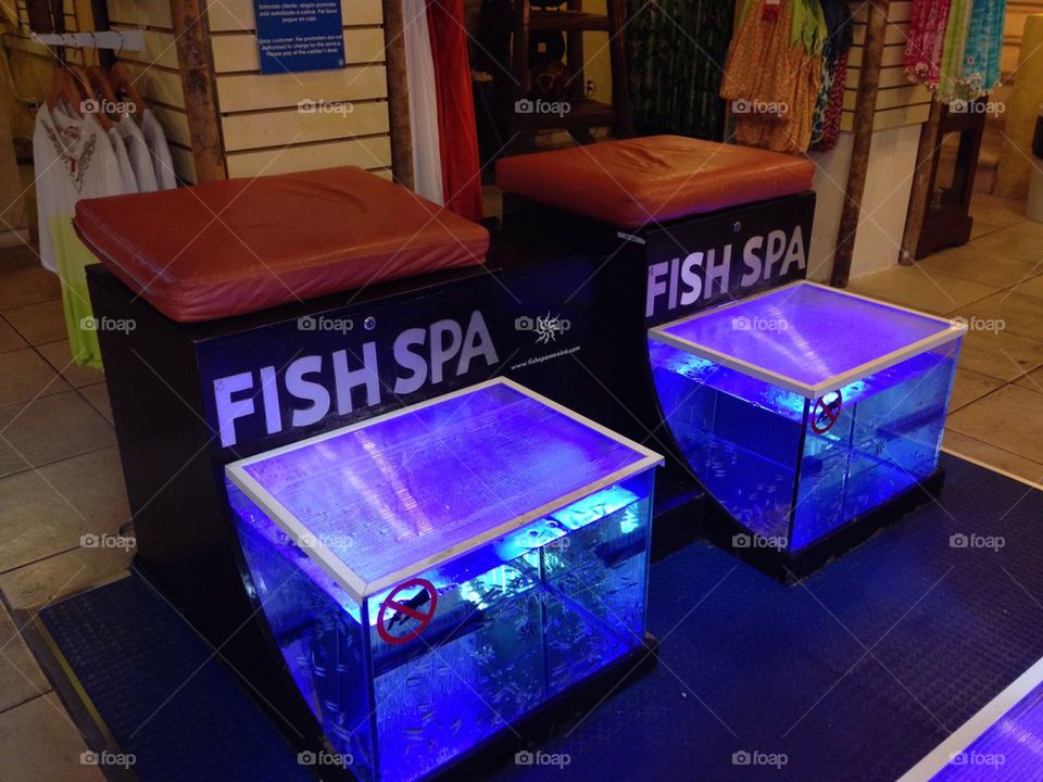 Fish foot spa, fish pedicure