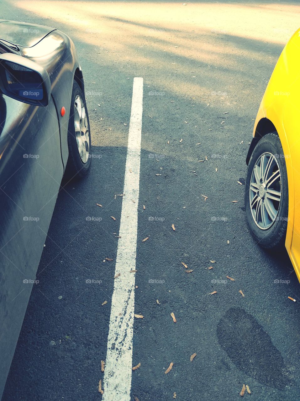 two cars in the parking lot