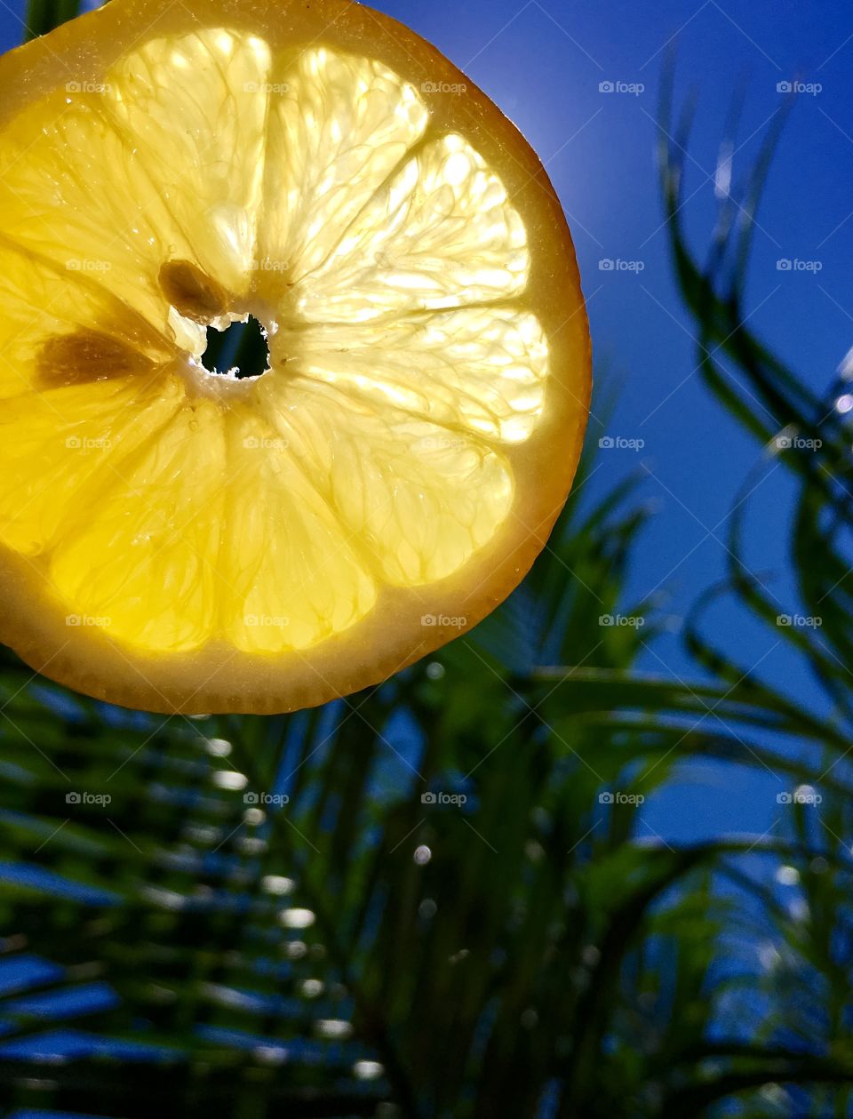 Yellow lemon Tropical sky