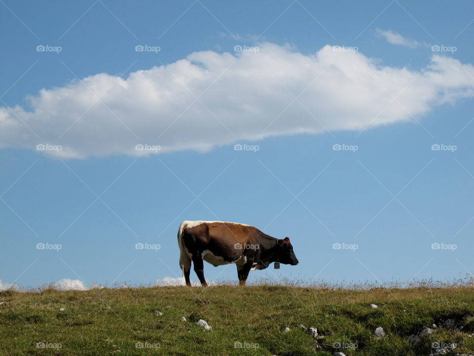 heaven blue alone mountain by shotmaker