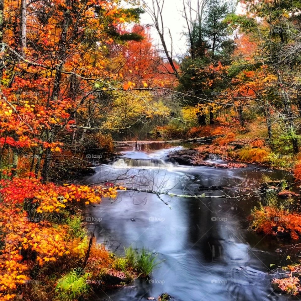 Nothing like fall in Maine relaxing by the stream. 