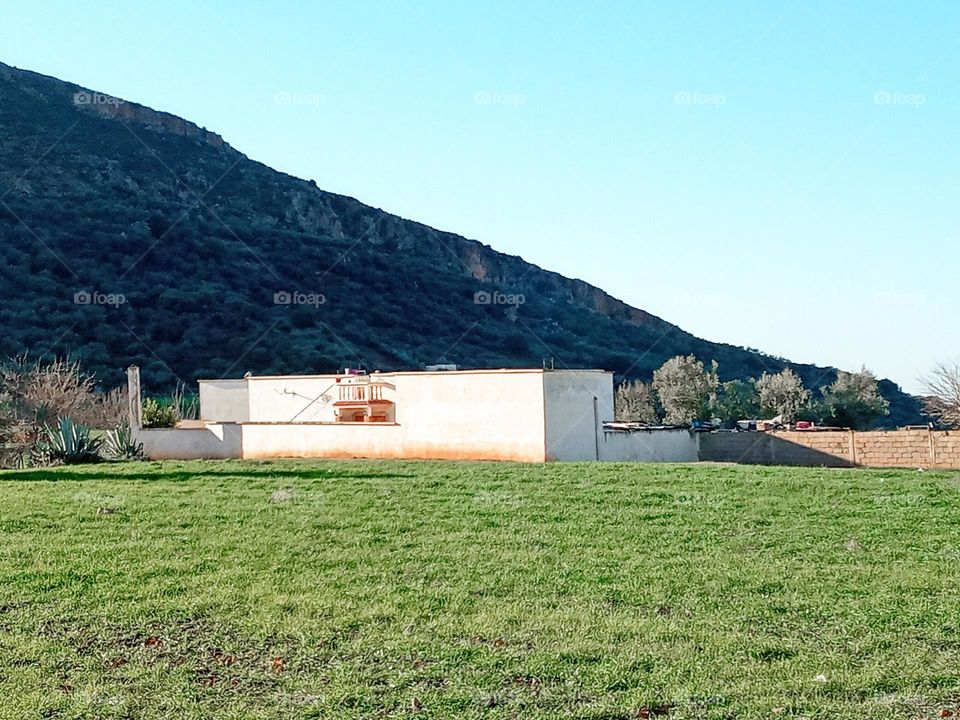 Population between the nature